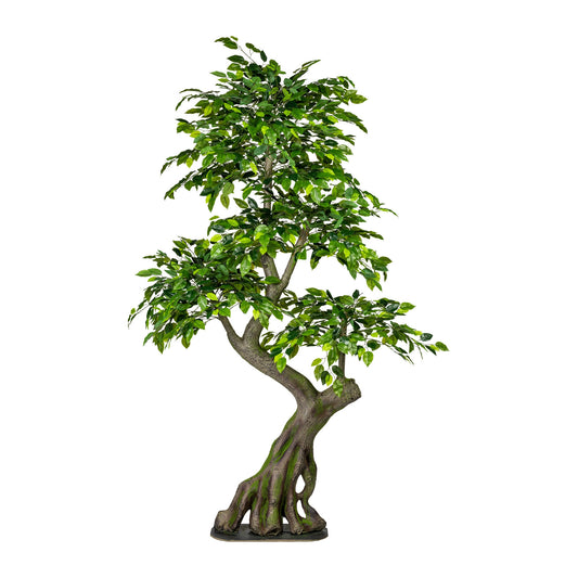 Ficus Benjamini Kunstpflanze 170x80cm Grüner Spalier mit stabilem Kunststamm