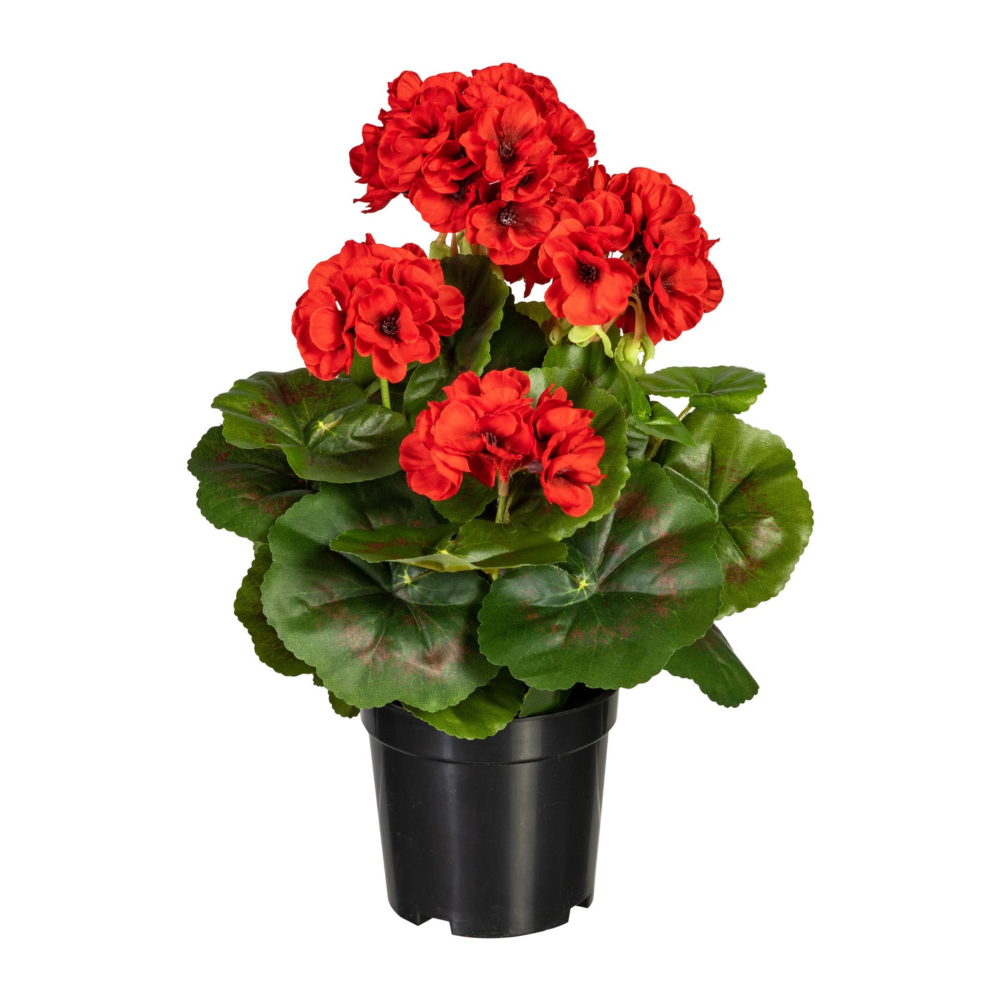 Künstlicher Geranienbusch 33 cm im Kunststofftopf – Verschiedene Farben verfügbar