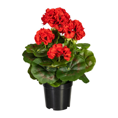 Künstlicher Geranienbusch 33 cm im Kunststofftopf – Verschiedene Farben verfügbar