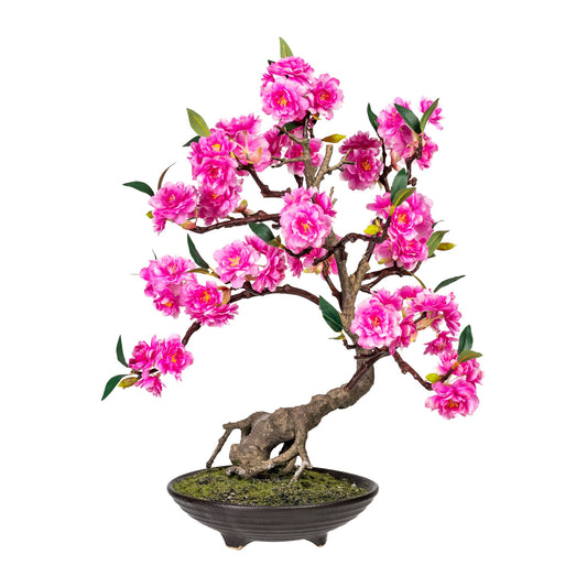 Bonsai Cerasum Pink 50 cm Kunstpflanze in eleganter brauner Zementschale 20x6 cm