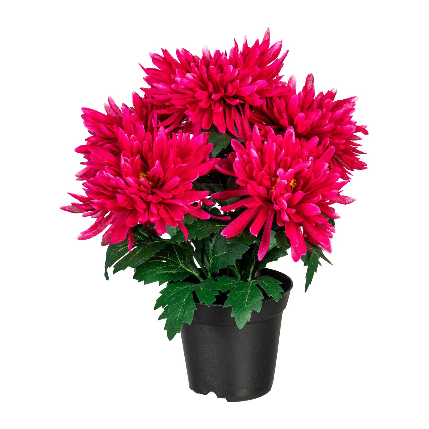 Künstliche Chrysantheme 32 cm im Kunststofftopf – Fuchsia, Gelb oder Weiß wählbar