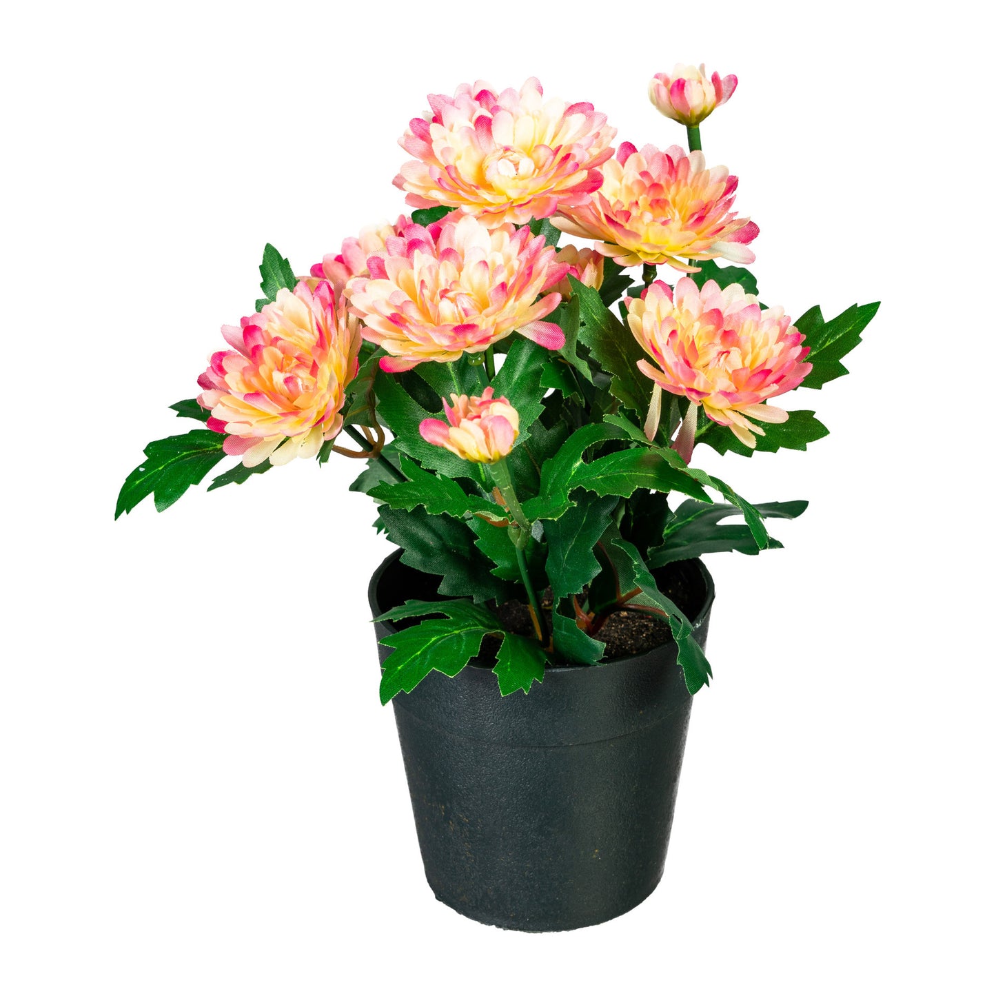 2er Set Künstlicher Zinnienbusch 32 cm in Lila und Creme-Pink im Topf