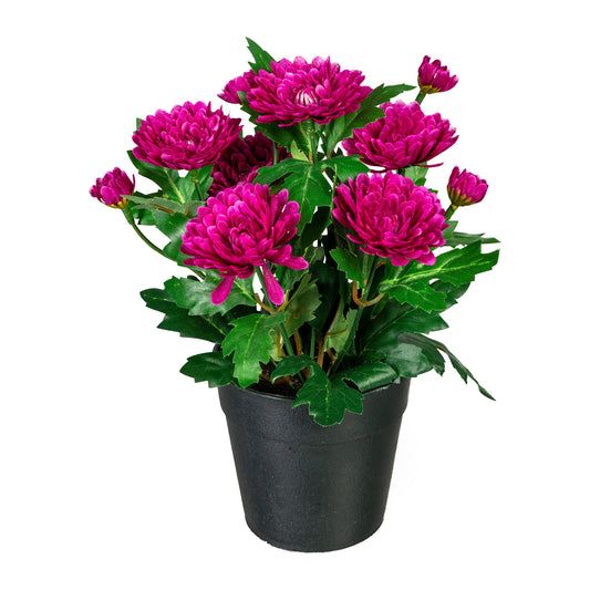 2er Set Künstlicher Zinnienbusch 32 cm in Lila und Creme-Pink im Topf