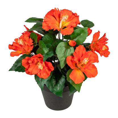 Künstlicher Hibiskus 32 cm im schwarzen Topf – Pflegeleichte Deko in Gelb & Orange