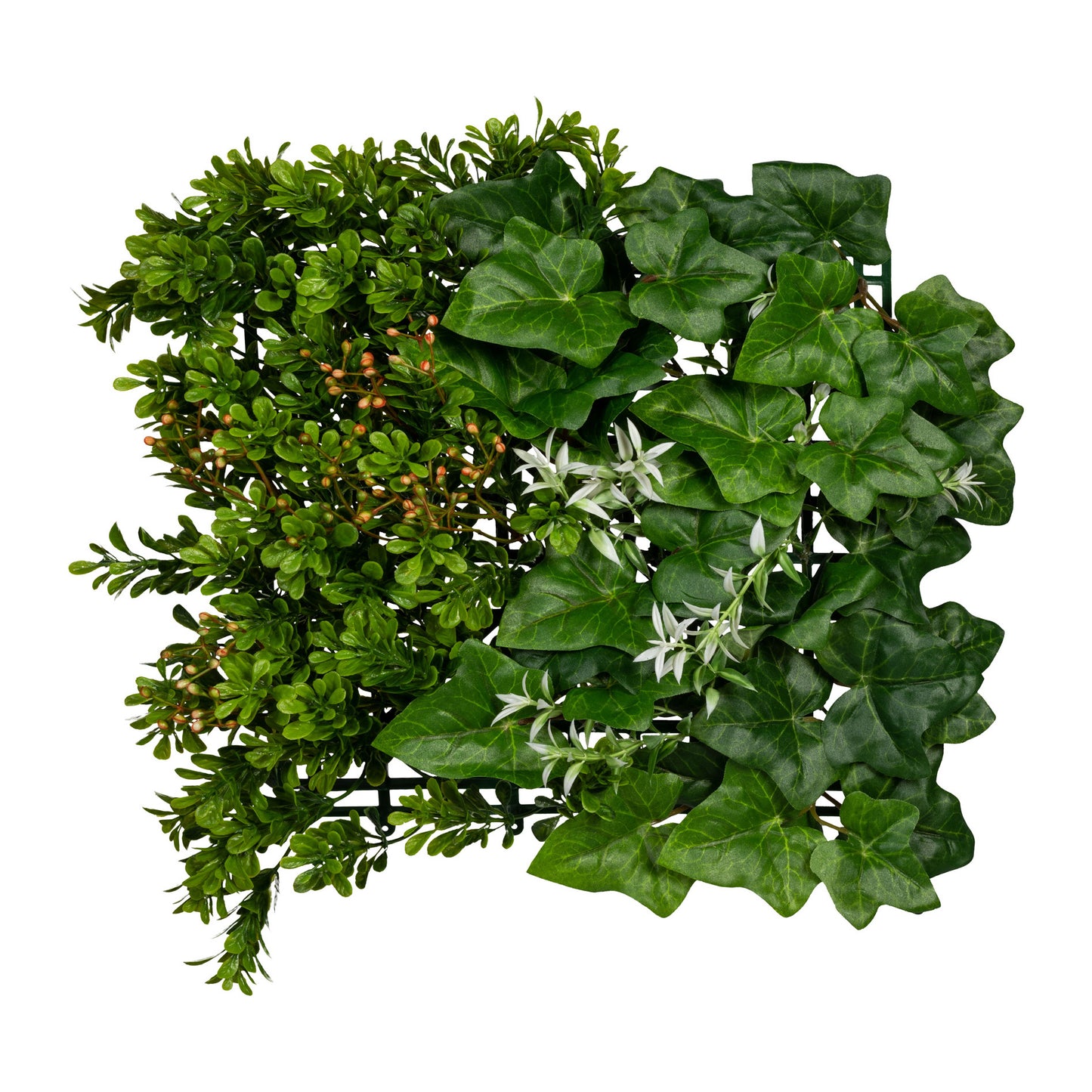 Künstliche Blättermatte Buchsbaum-Efeu, 33x33 cm, pflegeleicht und dekorativ für die Wand