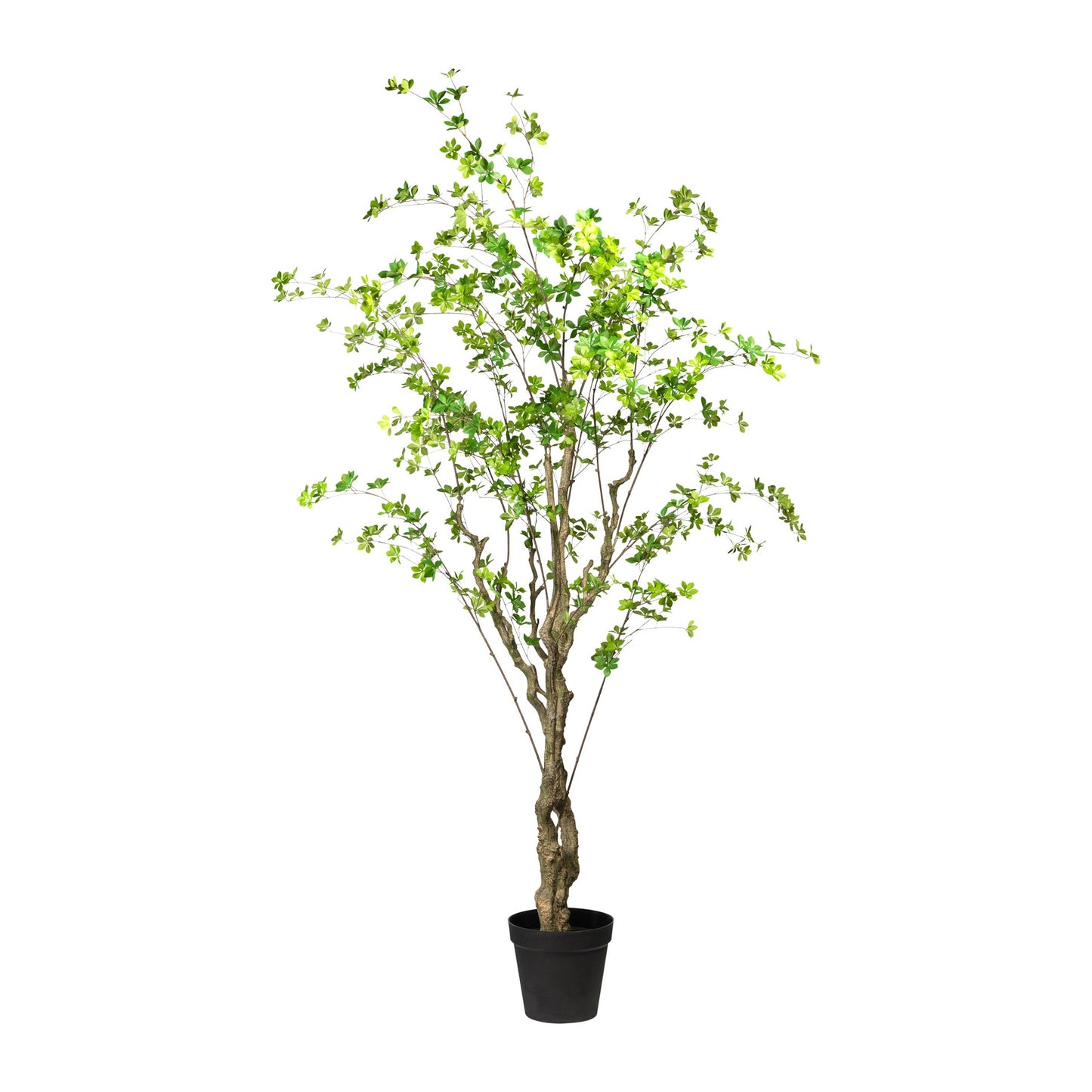 Louisiana-Baum Kunstpflanze 240 cm - Grüner PU-Stamm im Topf 27x25 cm