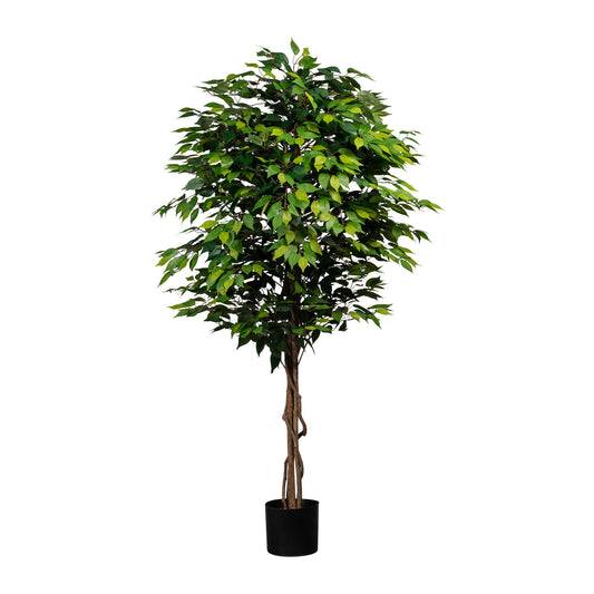 Künstlicher Ficus Benjamini 180 cm mit echtem Naturstamm – Dichtes Laubwerk für jeden Raum