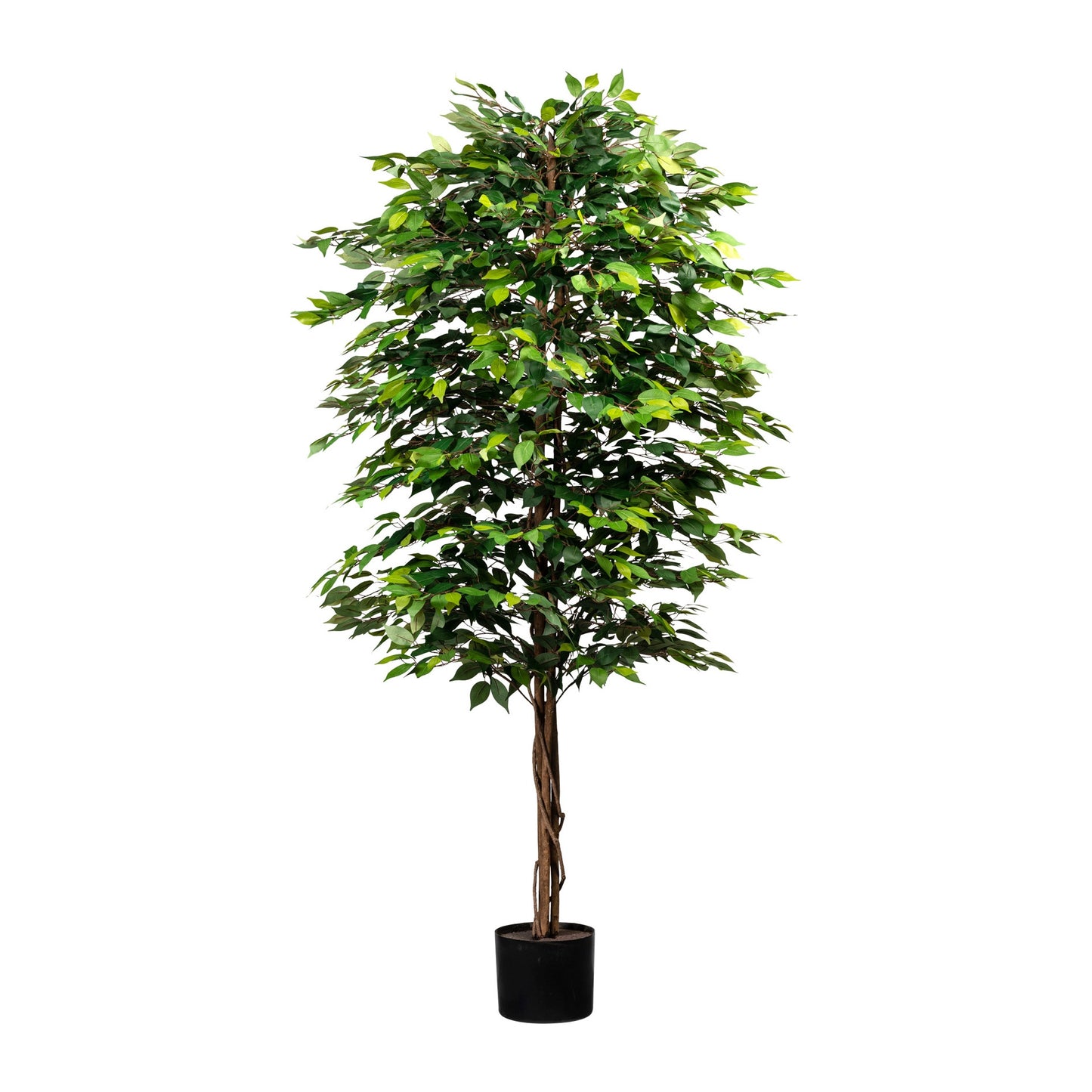Ficus Benjamini Kunstpflanze 210 cm hoch mit Naturstamm und 2268 Blättern im Topf