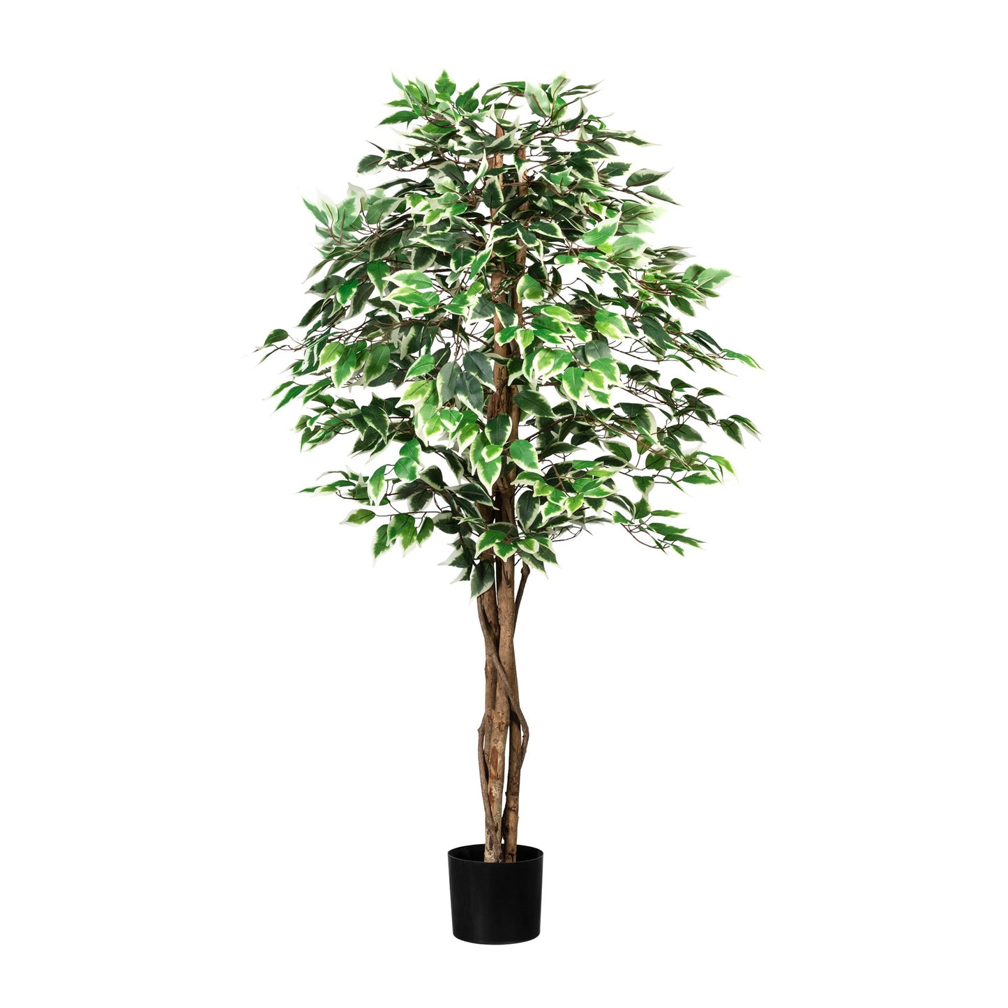 Ficus Benjamini Kunstpflanze 150 cm mit 840 Blättern im Topf 16x14 cm grün-weiß