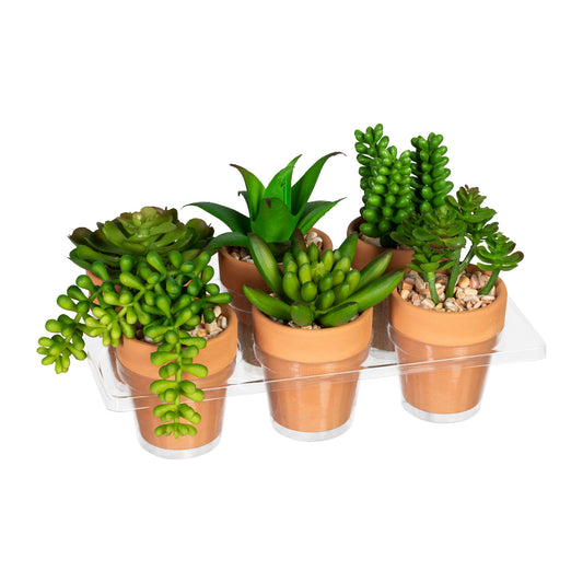 6er Set Mini-Sukkulenten im Tontopf mit Kies – Kunstpflanzen für elegante Deko