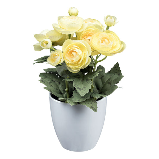 2er Set Ranunkel 20 cm in Hellgelb – Hochwertige Kunstpflanzen im schwarzen Topf 7,5 cm