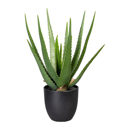 Künstliche Aloe Pflanze 47 cm im Kunststofftopf 13,5x13 cm, realistisch und Pflegeleicht