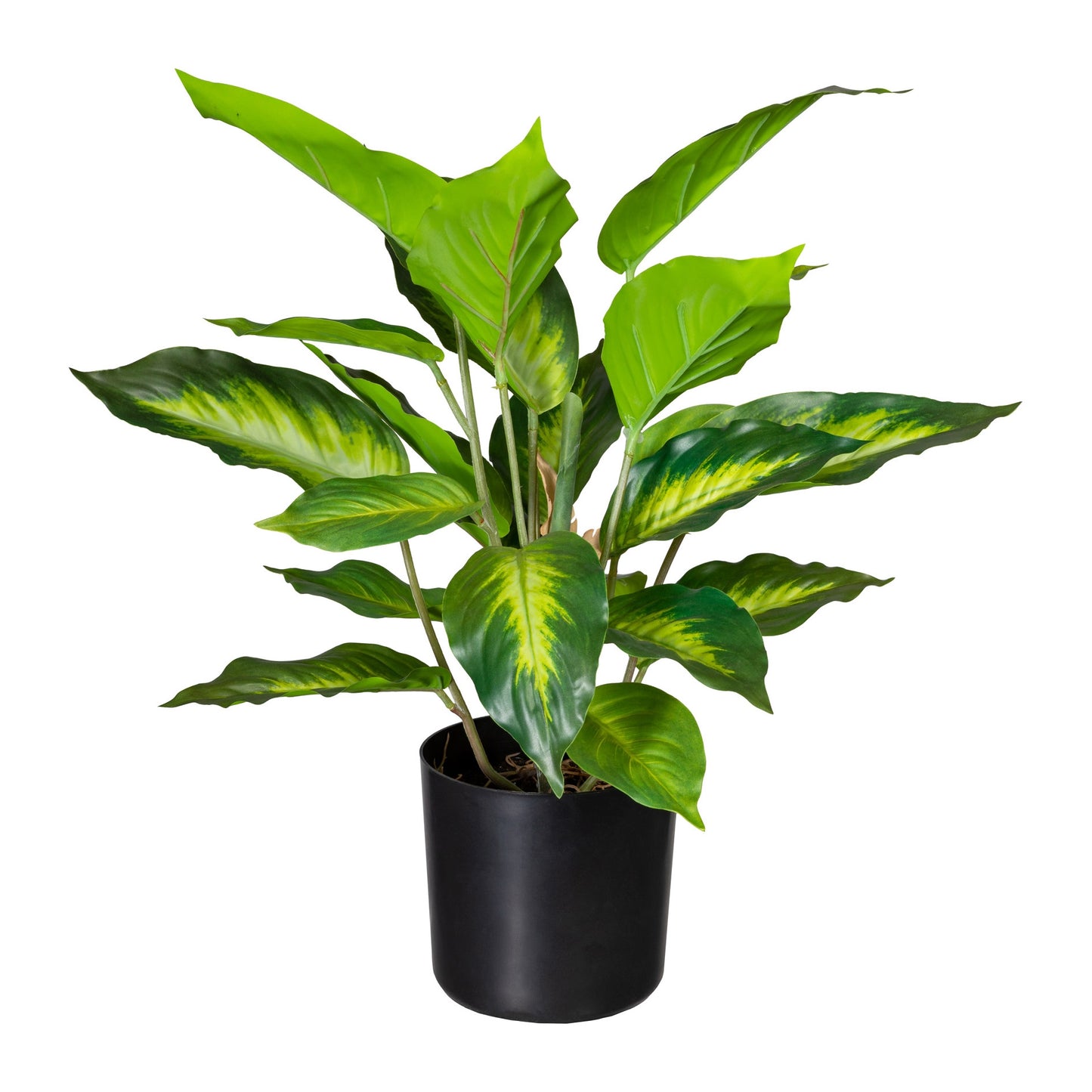 Dieffenbachia Kunstpflanze 45 cm - Pflegeleichte, hochwertige Deko im Topf 12x11,5 cm