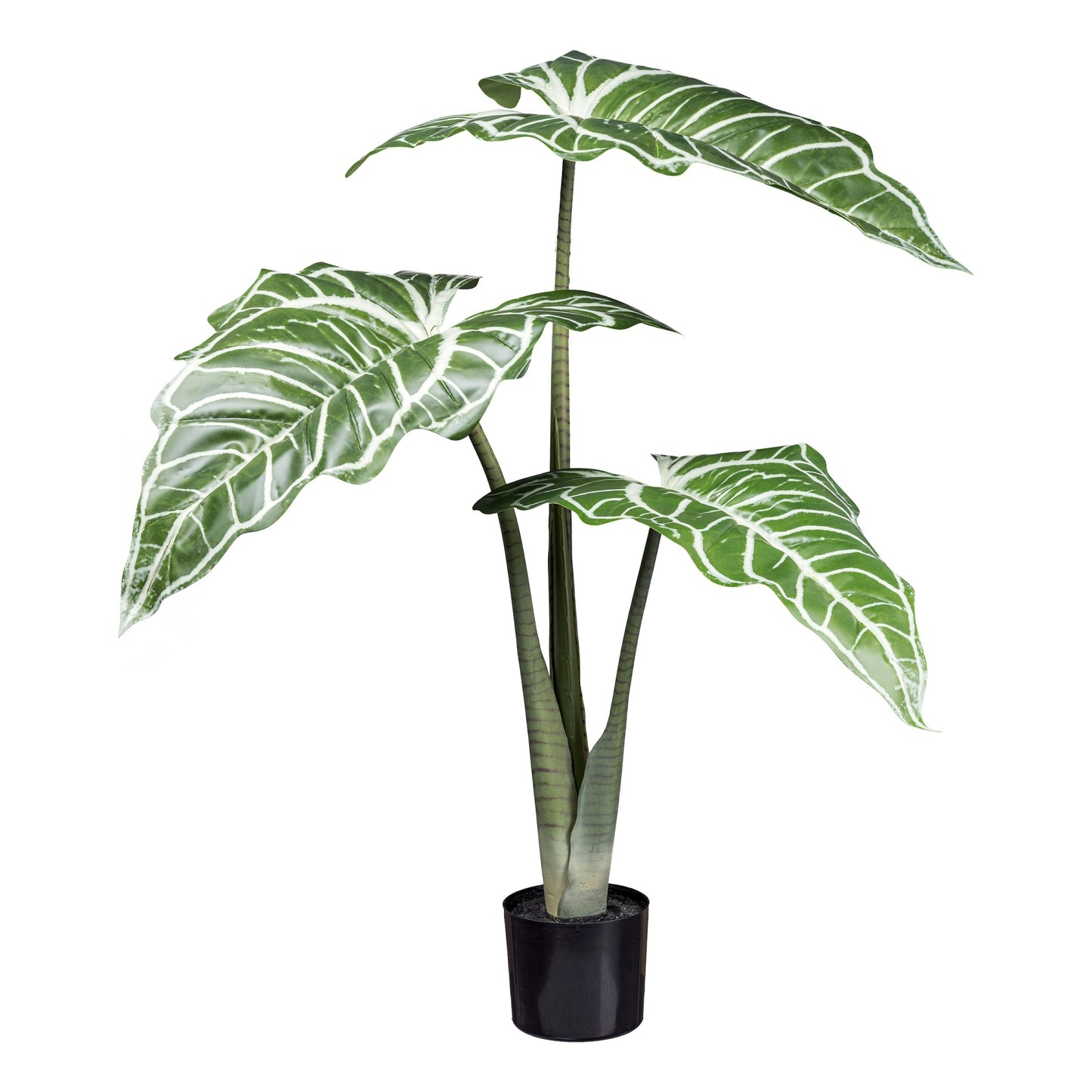Colocasia White Lava Kunstpflanze 130 cm mit 3 Blättern im schwarzen Topf, pflegeleicht