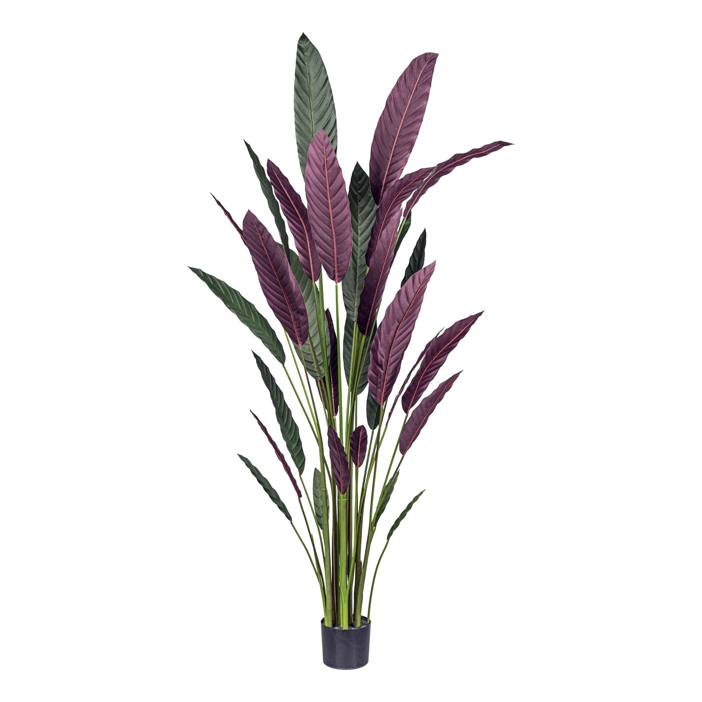 Kunstpflanze Stromanthe Thalia 210 cm Grün-Rot im Kunststofftopf 17x15 cm, pflegeleicht