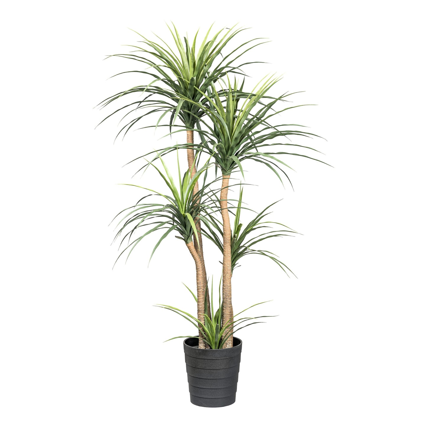Dracaena Kunstpflanze 160 cm im stabilen Kunststofftopf – Pflegeleicht und modern