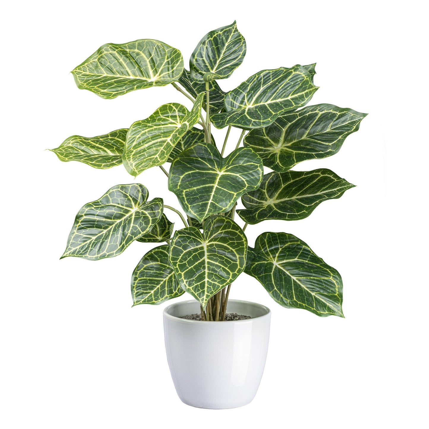 Nephthytis Kunstpflanze 50 cm mit 18 Blättern im weißen Keramiktopf – Pflegeleicht