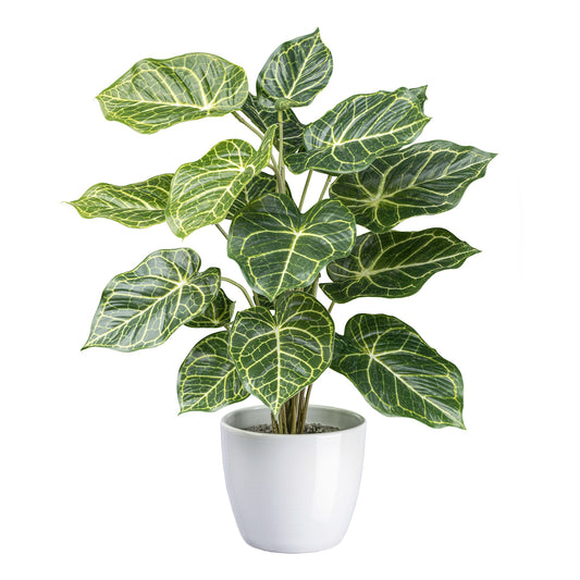 Nephthytis Kunstpflanze 50 cm mit 18 Blättern im weißen Keramiktopf – Pflegeleicht