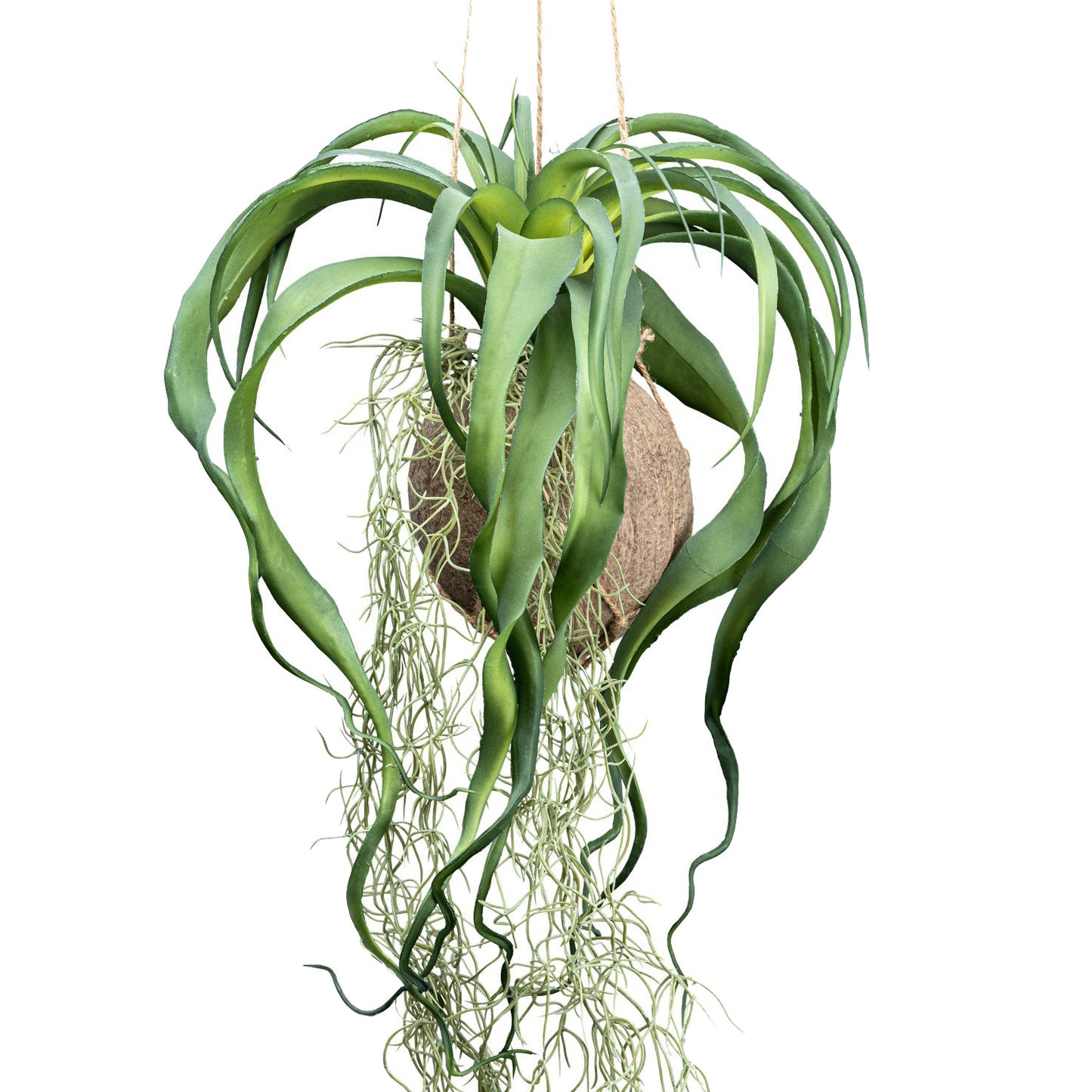 Tillandsia xerographica 63 cm grün im Cocoshänger Ø 12 cm – Kunstdeko Pflanze für Ihr Zuhause