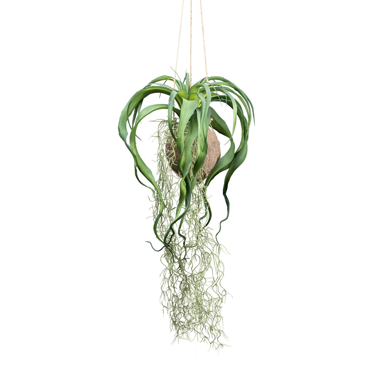 Tillandsia xerographica 63 cm grün im Cocoshänger Ø 12 cm – Kunstdeko Pflanze für Ihr Zuhause