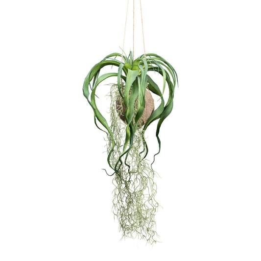 Tillandsia xerographica 63 cm grün im Cocoshänger Ø 12 cm – Kunstdeko Pflanze für Ihr Zuhause