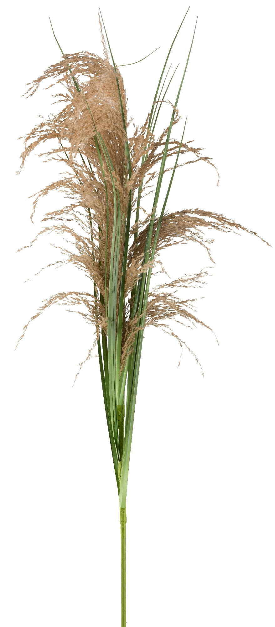 4er Set Schilfgraszweige 105 cm mit grünem Kunstgras – Dekoration für Ihr Zuhause