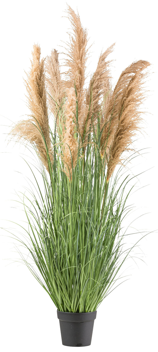Natur-Schilfgras 165 cm im Topf 21x18,5 cm – Hochwertige Kunstpflanze für Ihr Zuhause