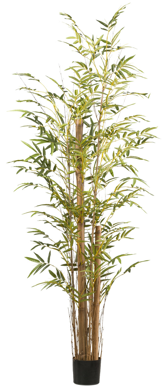 Kunstpflanze Bambus vulgaris 220 cm grün im schwarzen Kunststofftopf 17x14,5 cm