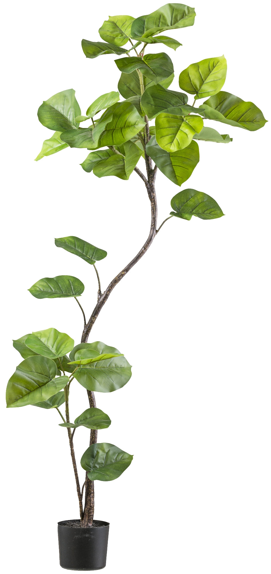 Ficus Umbellata Kunstpflanze 160 cm im schwarzen Topf 15x13 cm – pflegeleicht und elegant