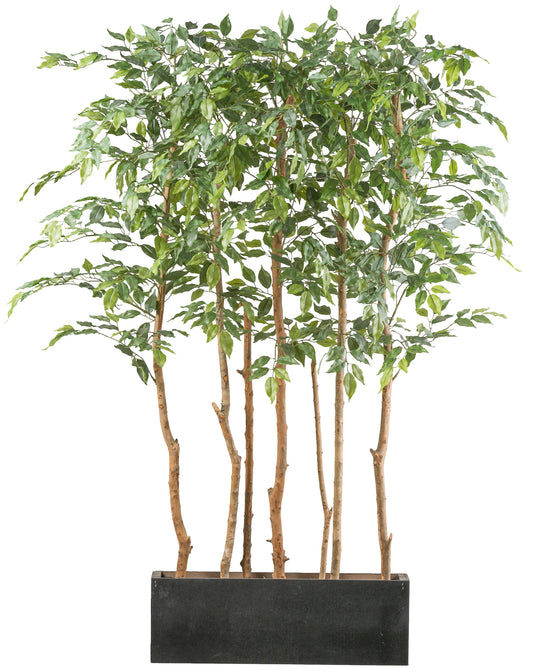Ficus Benjamina Kunstpflanze 160 cm als Raumteiler im Holzkasten 60x12x20 cm