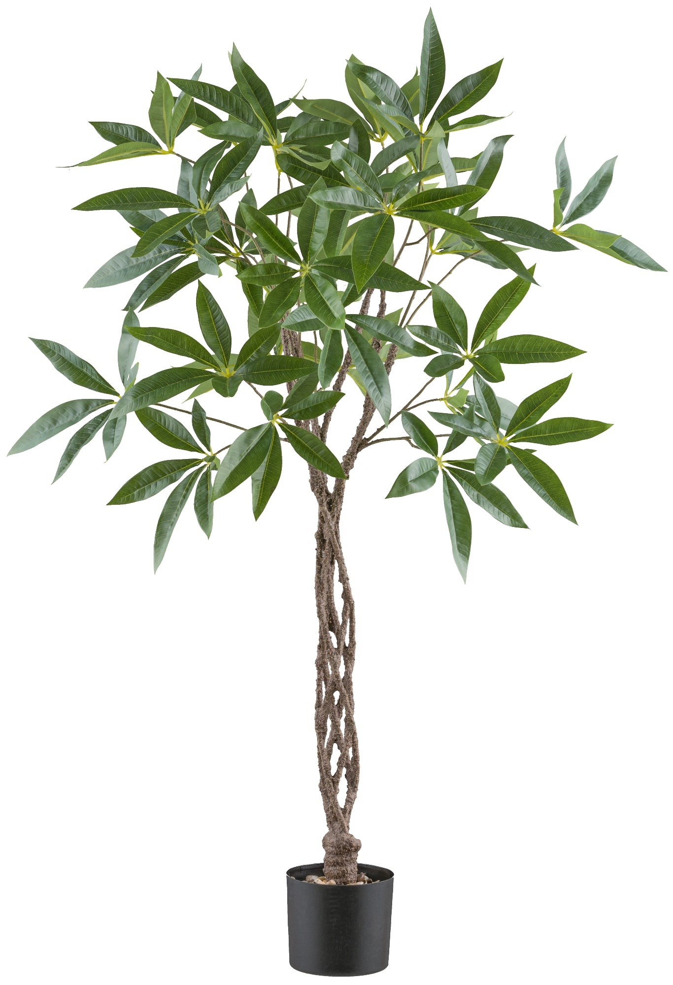 Glückskastanie Kunstpflanze 120 cm, geflochtener Stamm, Kunststofftopf 15x13 cm