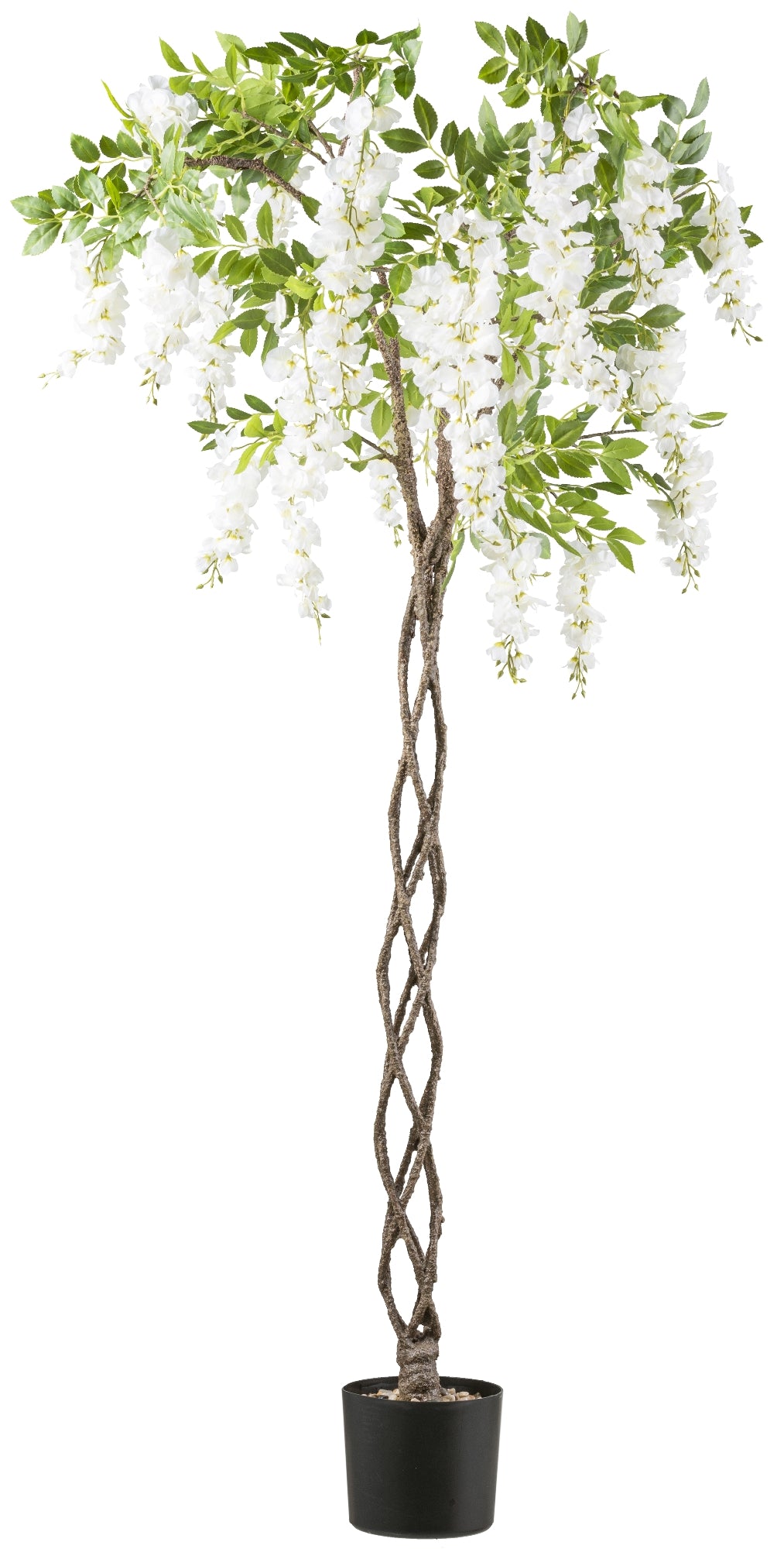 Kunstpflanze Wisteria 170cm weiß mit geflochtenem Stamm im Kunststofftopf 16,5x15cm