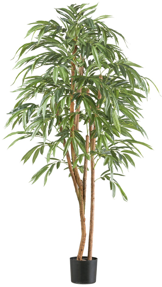 Ficus longifolia Kunstpflanze 170 cm - 798 Blätter im Kunststofftopf, pflegeleicht