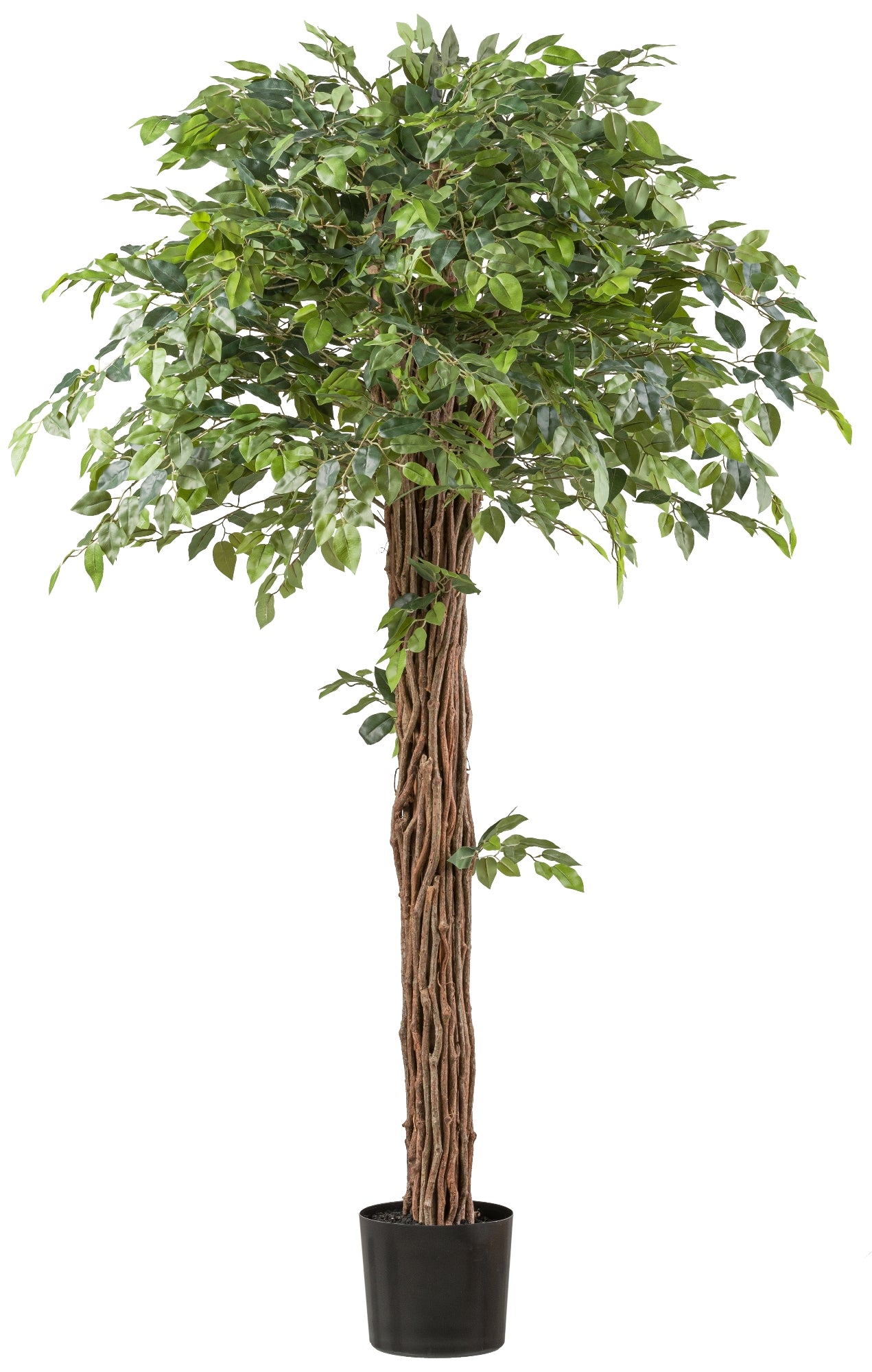Ficus Benjamina Kunstpflanze 175 cm Lianenstamm Kunststofftopf 19x17 cm Dekoration
