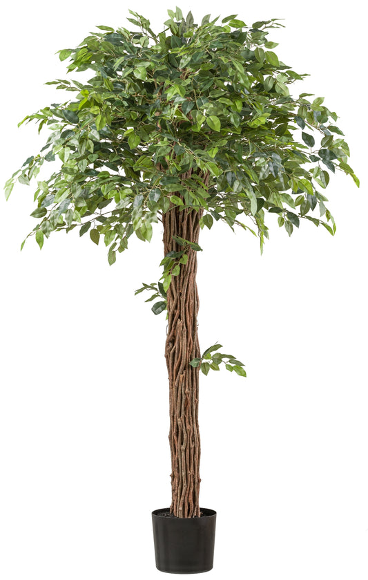 Ficus Benjamina Kunstpflanze 175 cm Lianenstamm Kunststofftopf 19x17 cm Dekoration