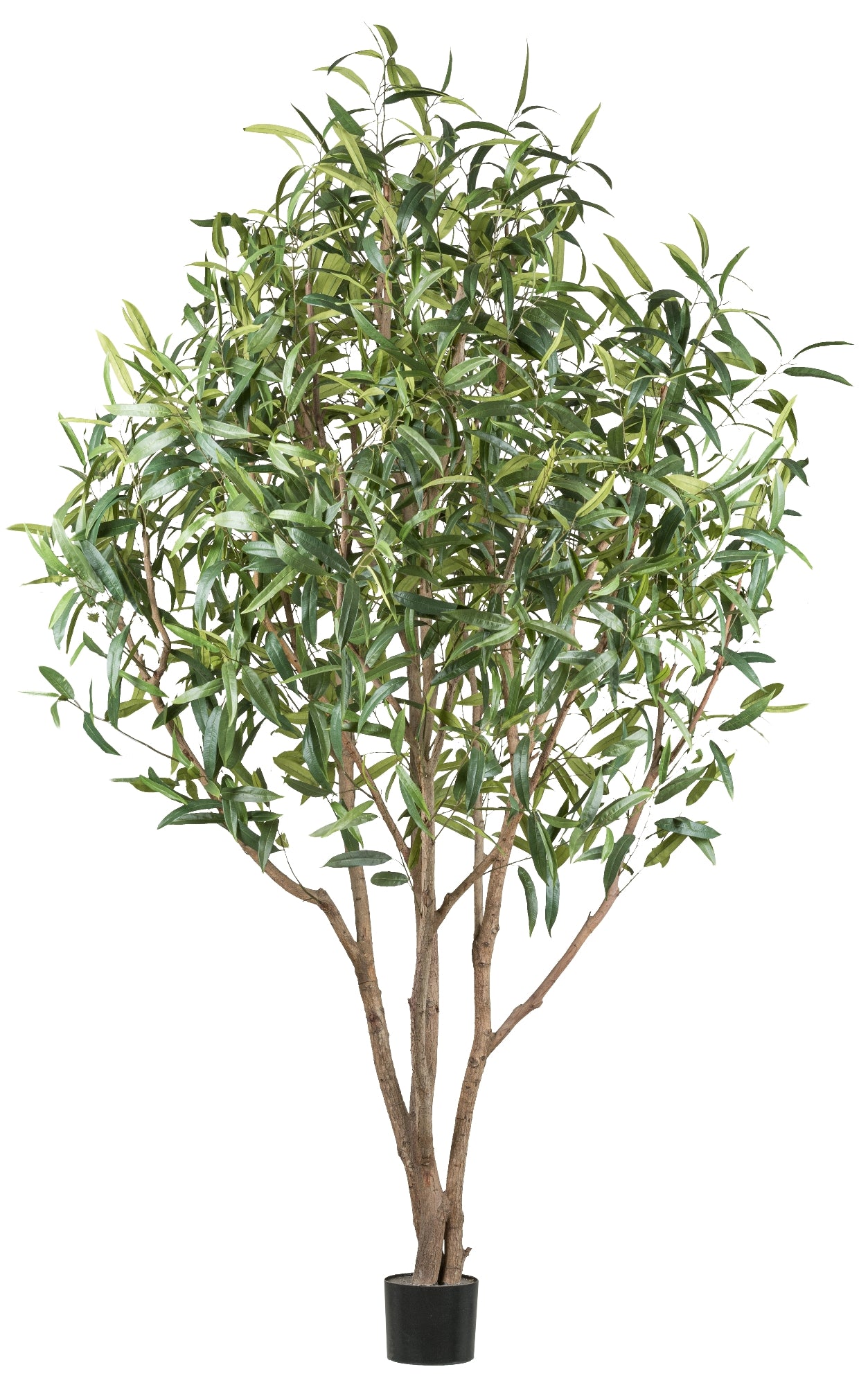Ficus Longifolia Kunstpflanze 260cm UV-beständig mit Naturstamm & Topf 18x16cm