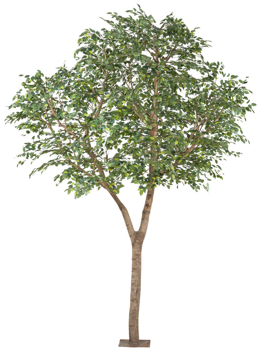 Ficus Benjamina Kunstpflanze 310 cm hoch, Pflegeleicht, Naturstamm & Kunststoffdeko