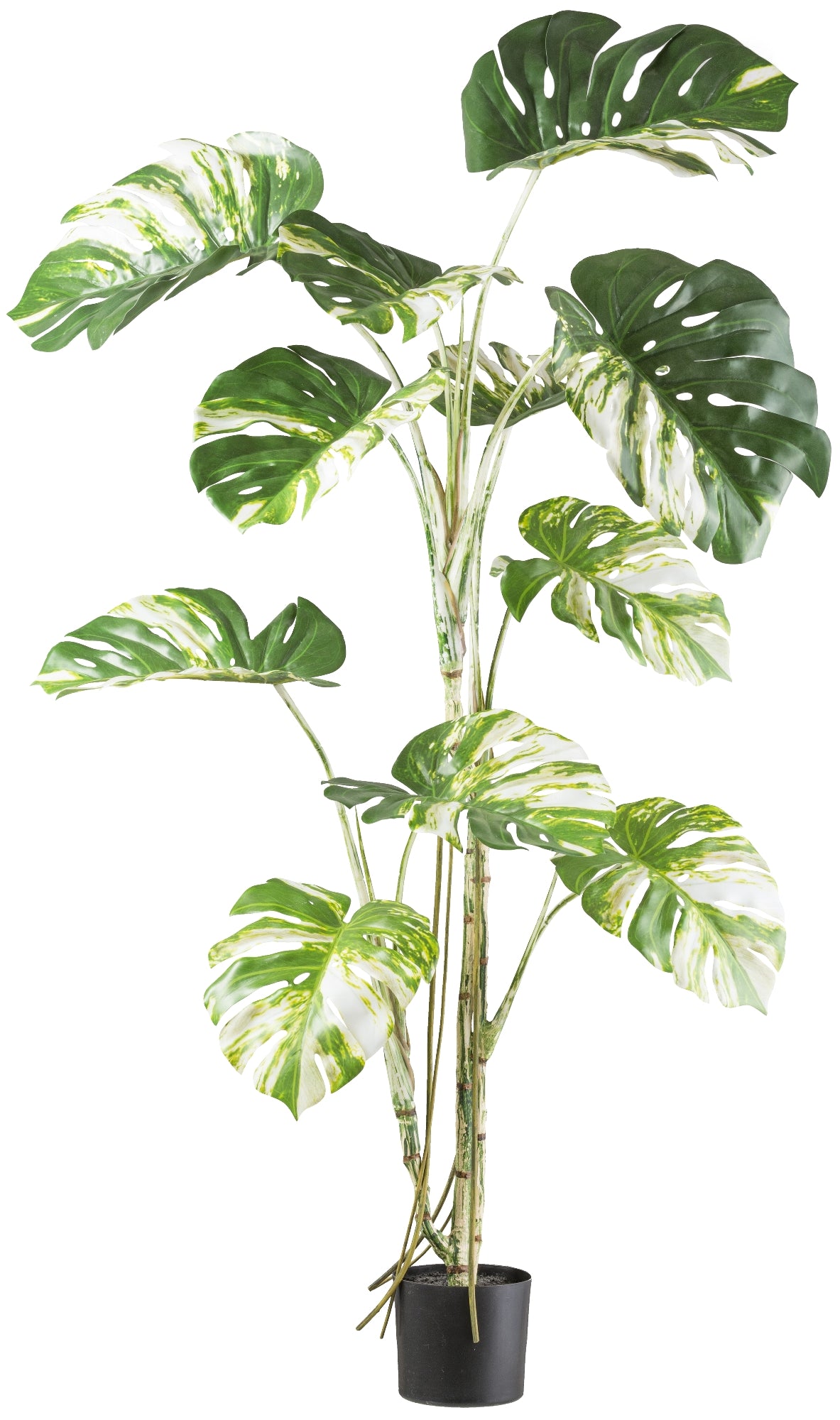 Monstera deliciosa Variegata Kunstpflanze 160 cm im Kunststofftopf – grün-weiß decorativ
