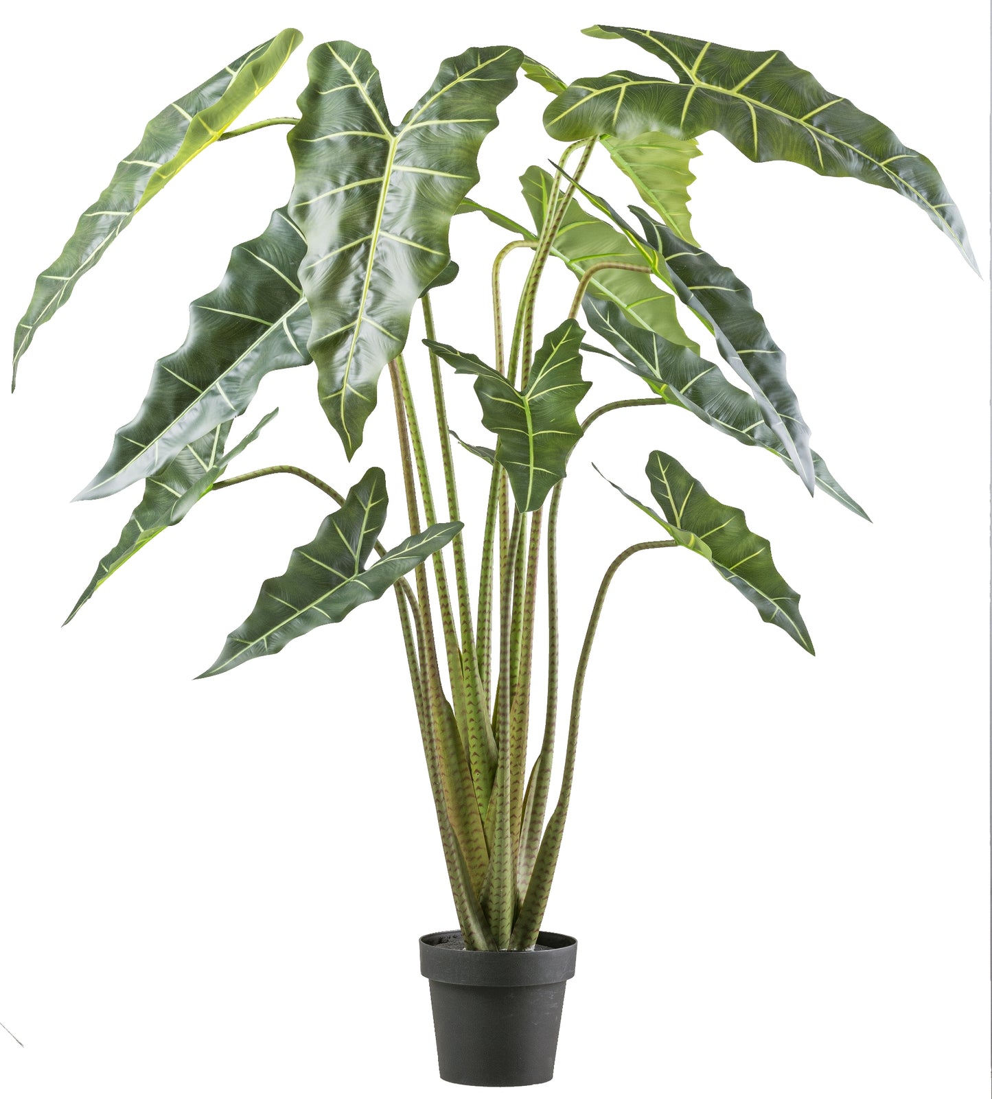 Alocasia zebrina Sarian 160 cm Kunstpflanze im Kunststofftopf, grün & dekorativ