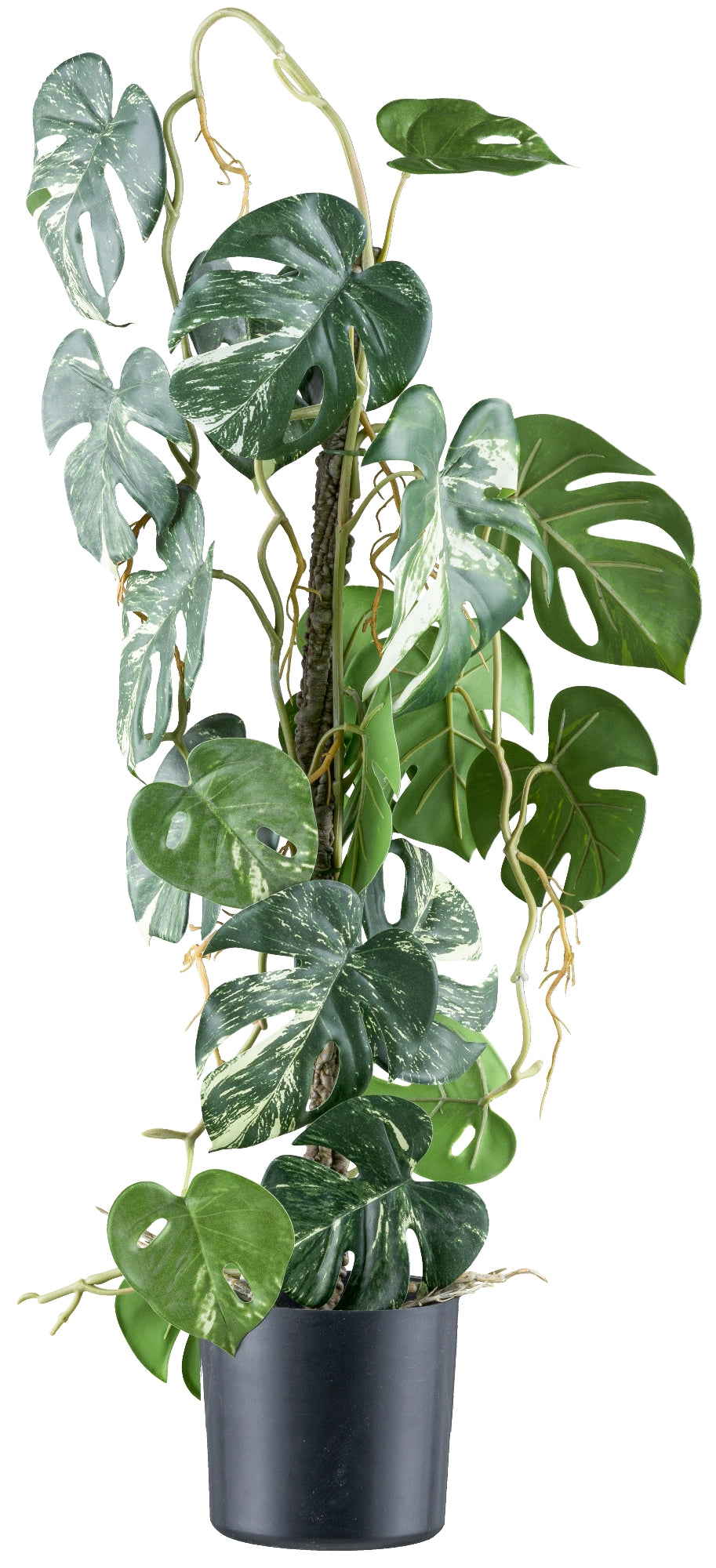 Splitphilodendron Variegata 66 cm Kunstpflanze grün-weiß im Topf 12,5x11,5 cm