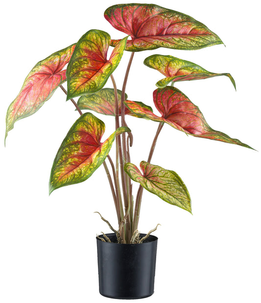 Caladium Red Flash Kunstpflanze 55 cm grün-rot im Topf 12,5x11,5 cm - Pflegeleicht!