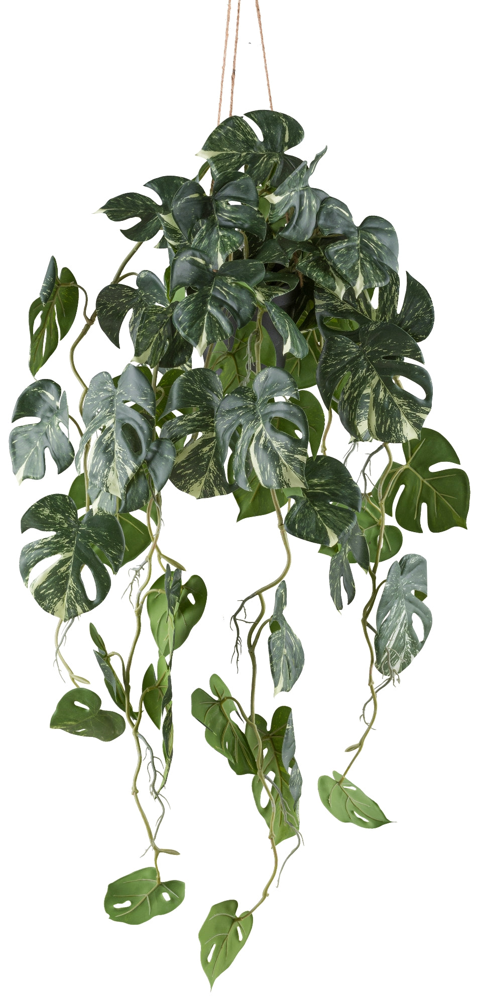 Splitphilodendron Variegata 80cm Kunstpflanze in Hängeampel grün-weiß 12x11cm