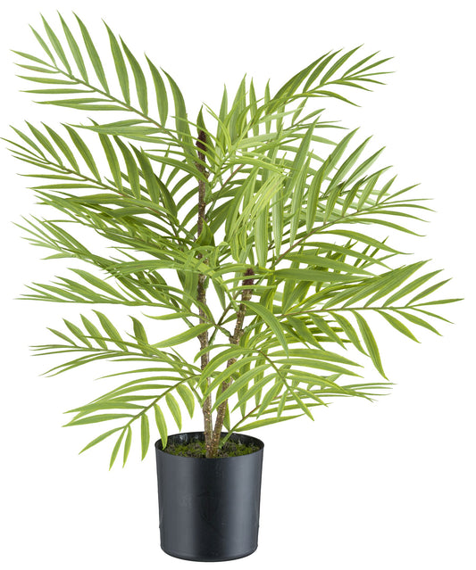 Arecapalme Kunstpflanze 48 cm hoch mit 20 Wedeln im Kunststofftopf, grün und pflegeleicht