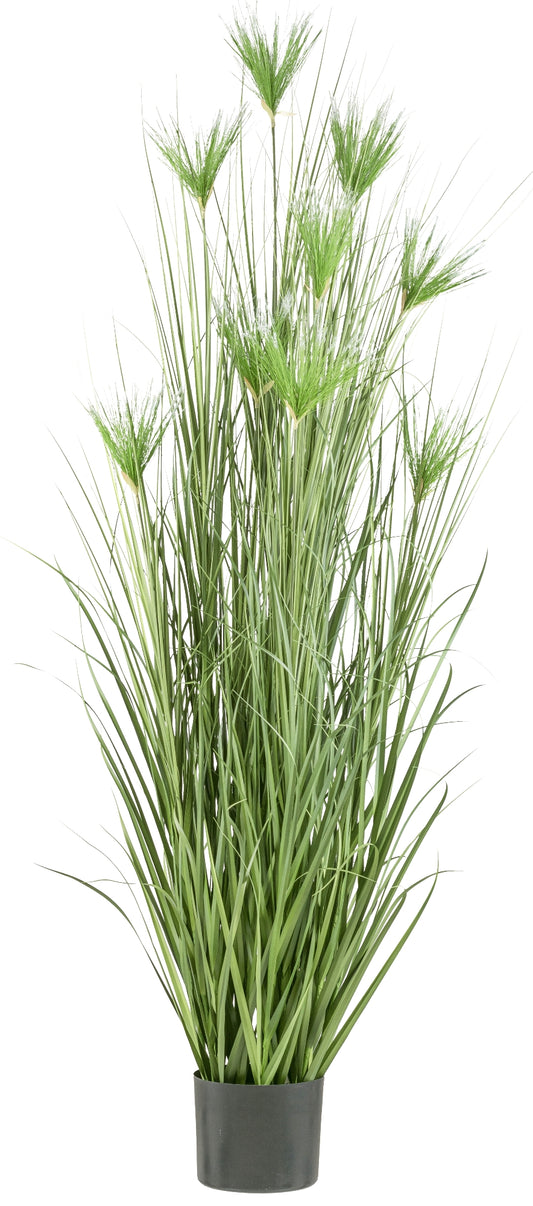 Cyperus longus Gras 210 cm - Kunstpflanze im Topf, ideal für Ihre Innendekoration