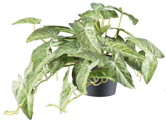 Alocasia Kunstpflanze 46 Blätter, 24x40cm, grün-creme, pflegeleicht, elegant für Dekoration