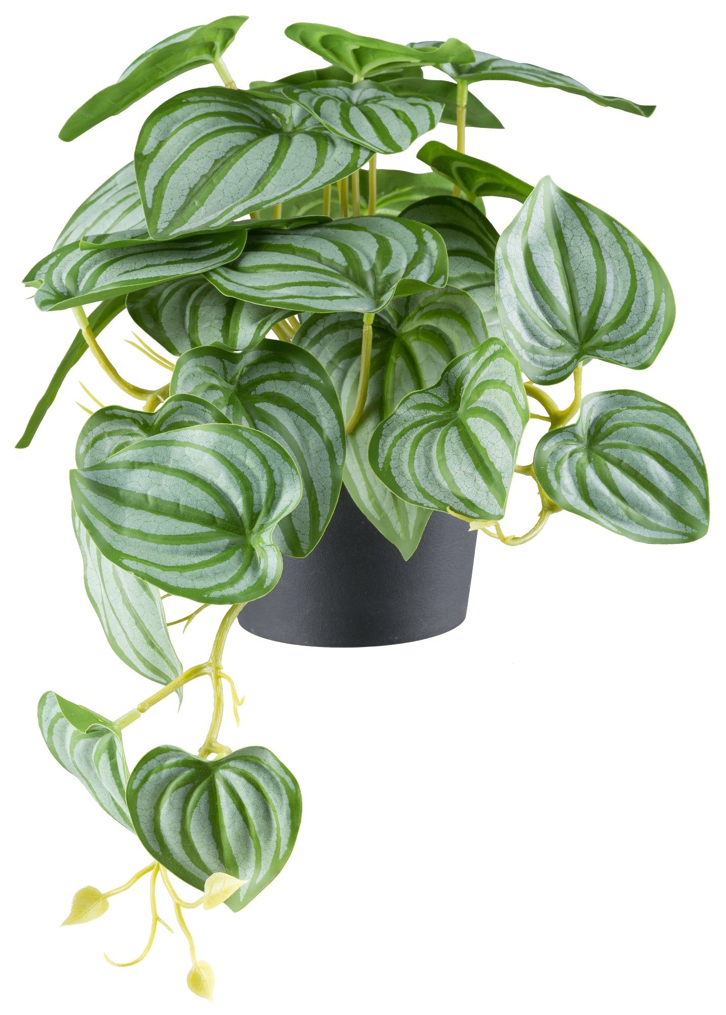 2er Set Kunstpflanzen Peperomia Hänger, 29 Blätter, 24 cm hoch, pflegeleicht und stylish