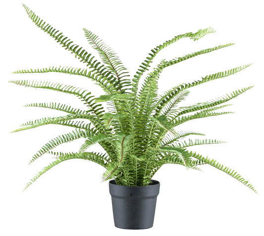 Boston Farn Kunstpflanze 70 cm mit Kunststofftopf – Pflegeleichte Deko für jedes Zuhause