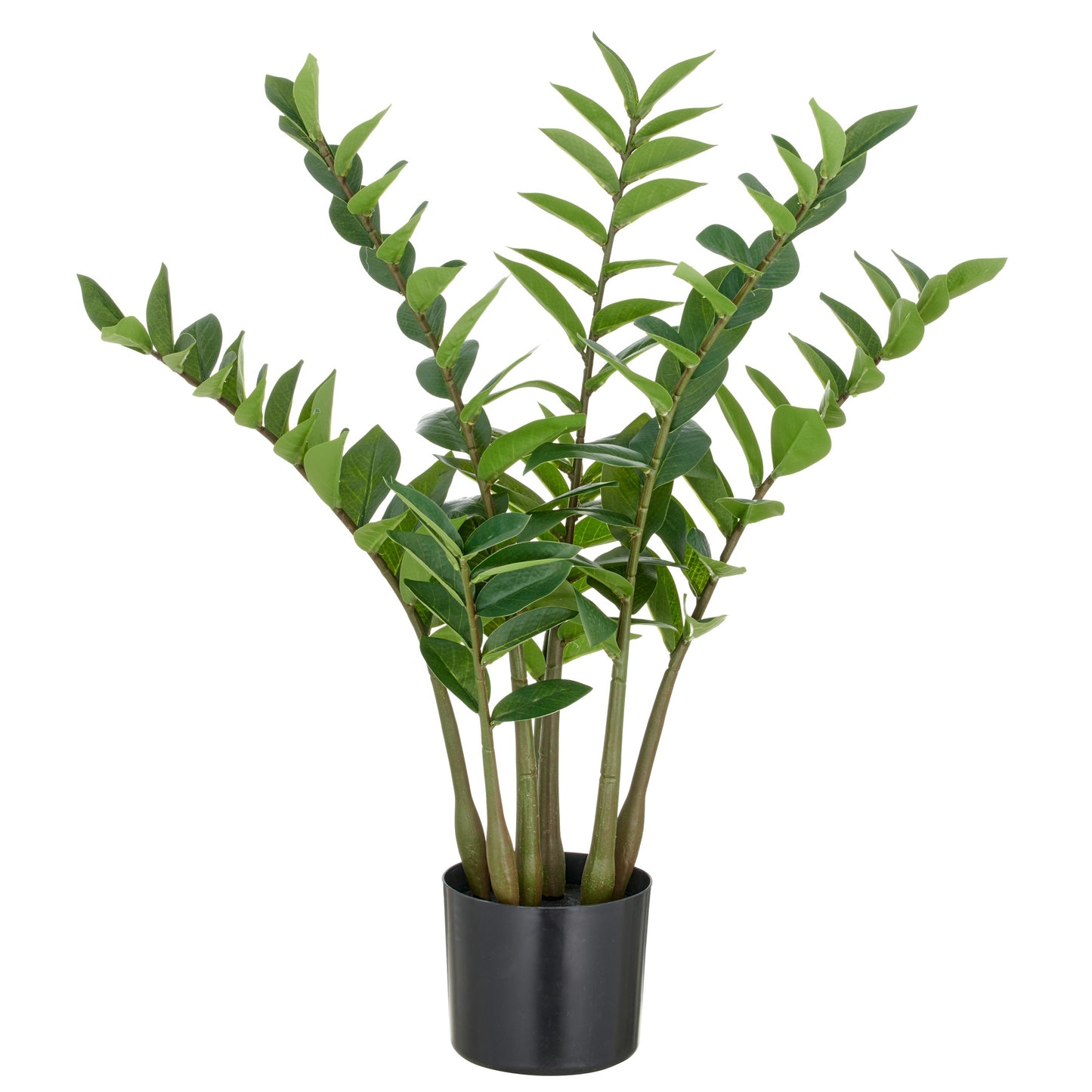 Zamifolia Künstliche Pflanze 70 cm mit 116 Blättern aus PEVA Grün im Topf Ø15x13 cm