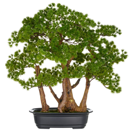 Bonsai Larix Kunstpflanze ca. 53x50cm in schwarzer Kunststoffschale 28x19,5x7,5cm DECORATION