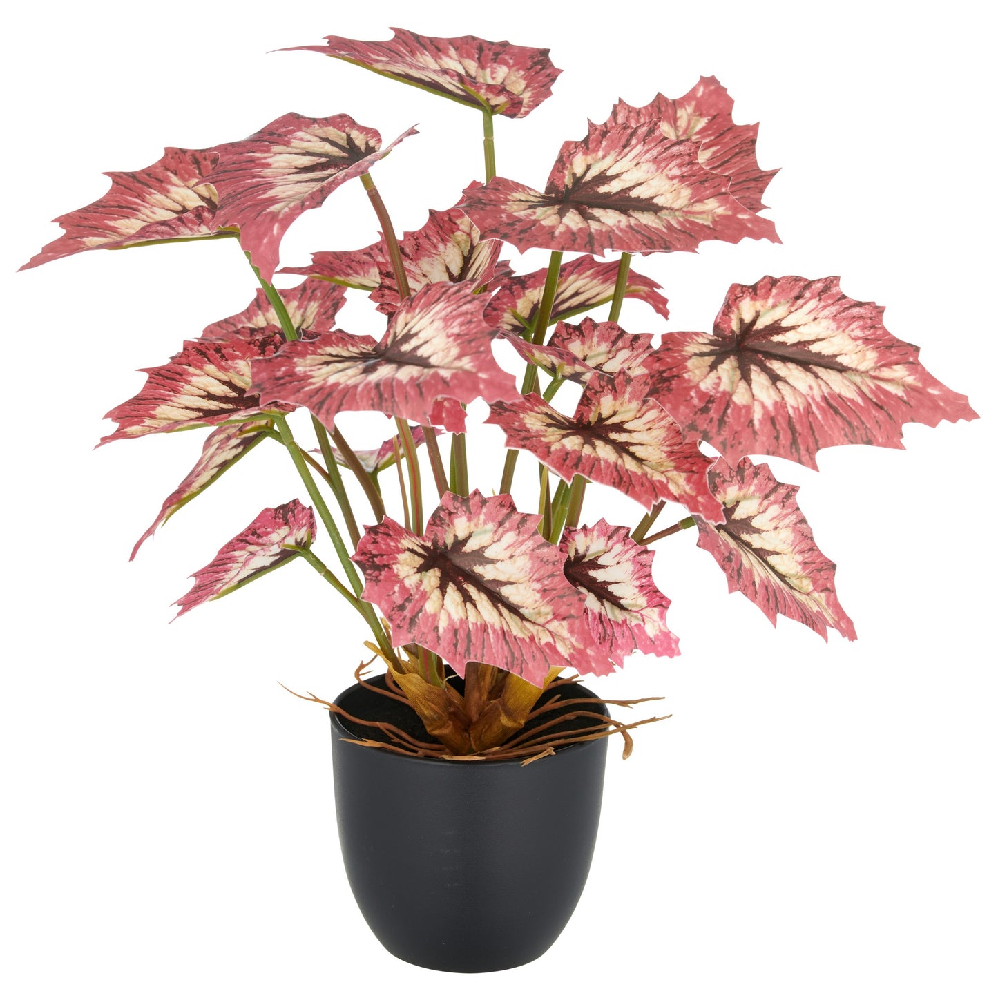 Begonia rex Red Tango Kunstpflanze 30 cm rot-creme im Kunststofftopf 9,5x8,5 cm